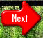 preview071003.jpg